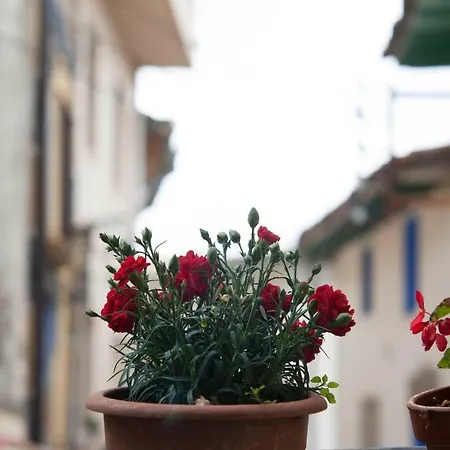 乡村民宿 Casa Mata *